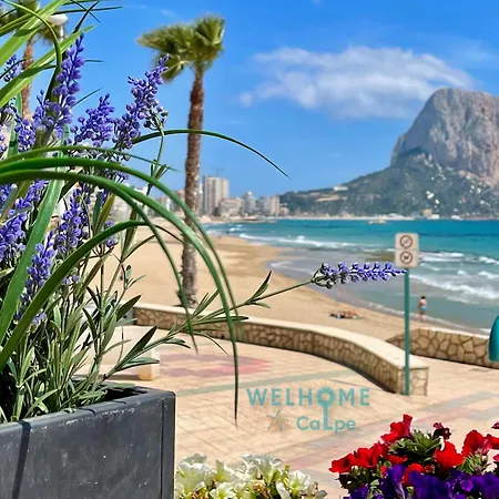 Manzana Bonito Y Comodo Con Piscina Appartamento *
