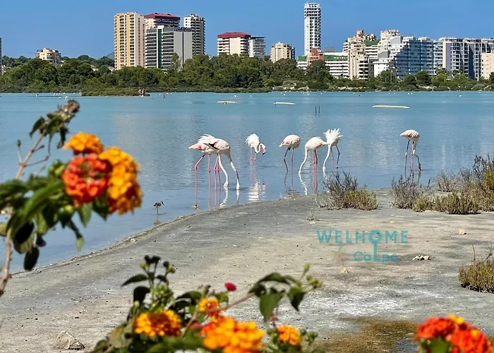 Apartment Manzana Bonito Y Comodo Con Piscina Calpe